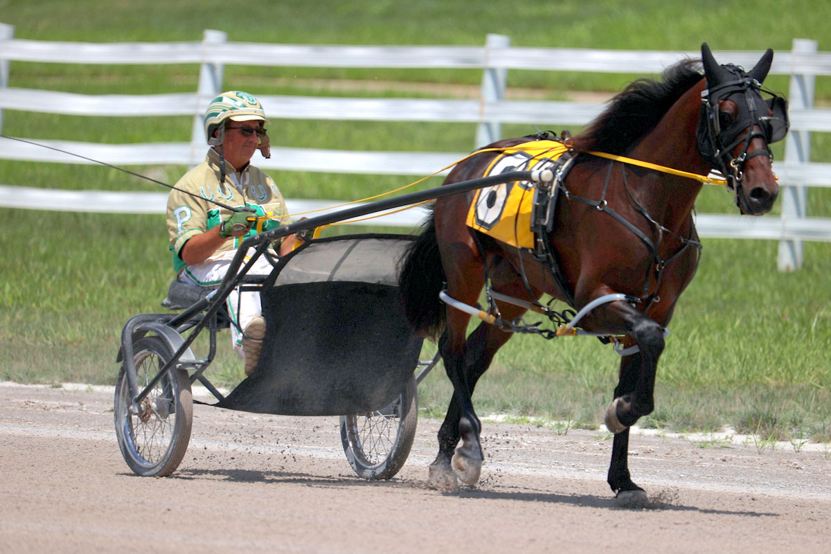 Harness racing action at Oak Grove Racing, Gaming & Hotel. (Mark Haynes, Clarksville Online) Harness racing action at Oak Grove Racing, Gaming & Hotel. (Mark Haynes, Clarksville Online)