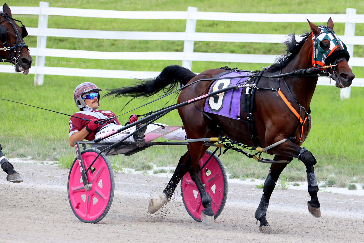Harness racing action at Oak Grove Racing, Gaming & Hotel. (Mark Haynes, Clarksville Online) Harness racing action at Oak Grove Racing, Gaming & Hotel. (Mark Haynes, Clarksville Online)