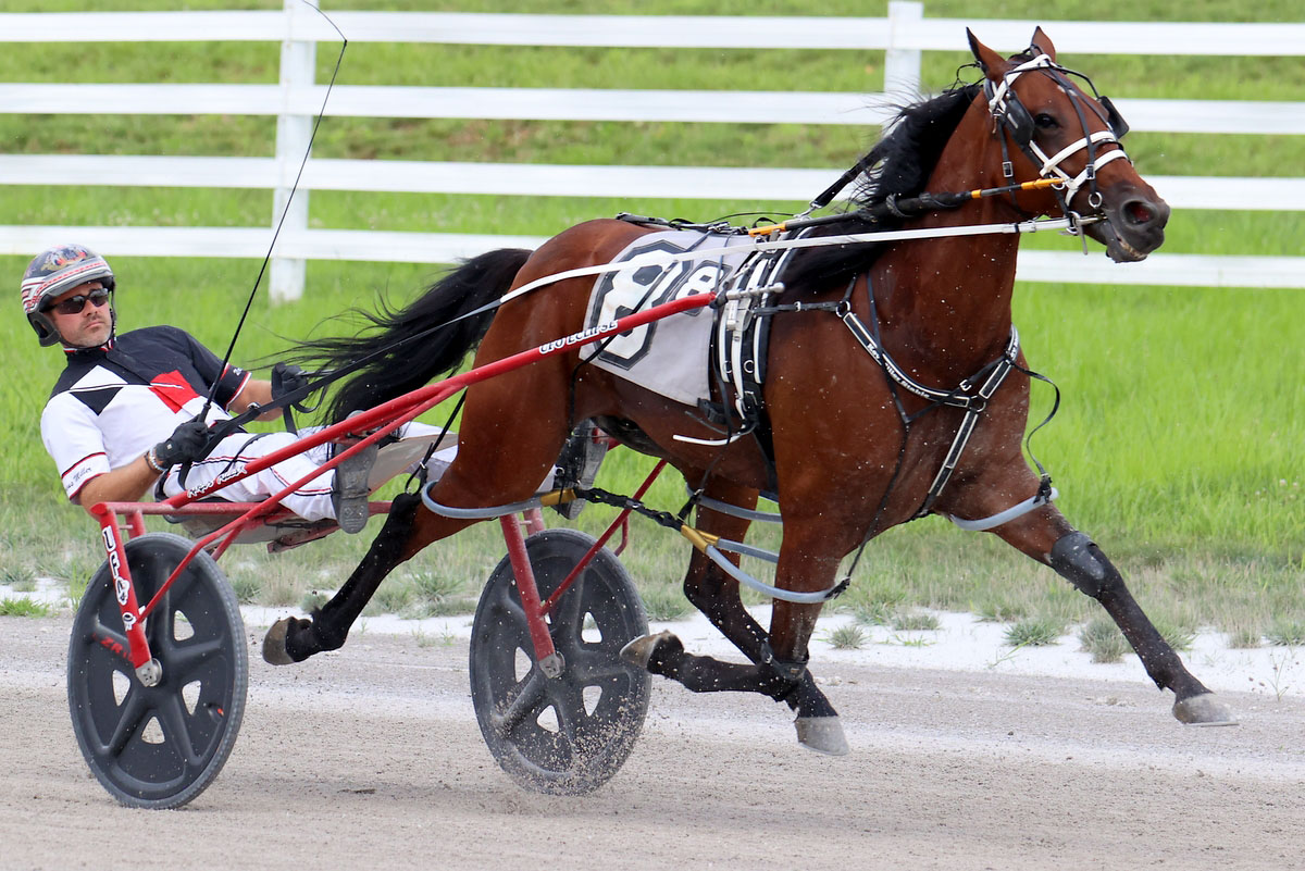 Harness racing action at Oak Grove Racing, Gaming & Hotel. (Mark Haynes, Clarksville Online) Harness racing action at Oak Grove Racing, Gaming & Hotel. (Mark Haynes, Clarksville Online)