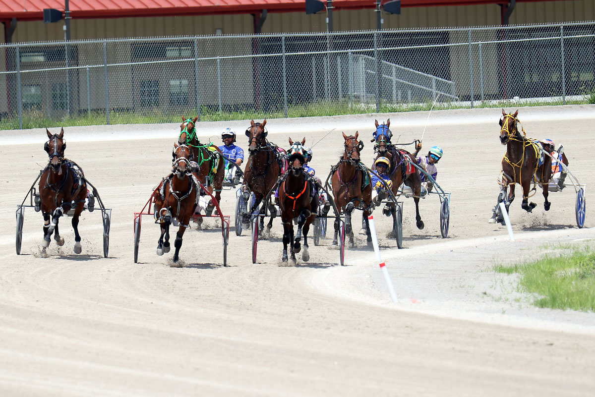 Harness racing action at Oak Grove Racing, Gaming & Hotel. (Mark Haynes, Clarksville Online) Harness racing action at Oak Grove Racing, Gaming & Hotel. (Mark Haynes, Clarksville Online)