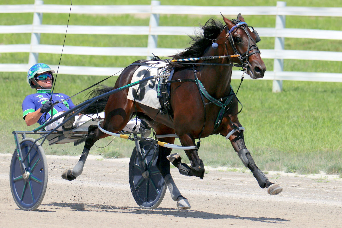 Harness racing action at Oak Grove Racing, Gaming & Hotel. (Mark Haynes, Clarksville Online) Harness racing action at Oak Grove Racing, Gaming & Hotel. (Mark Haynes, Clarksville Online)