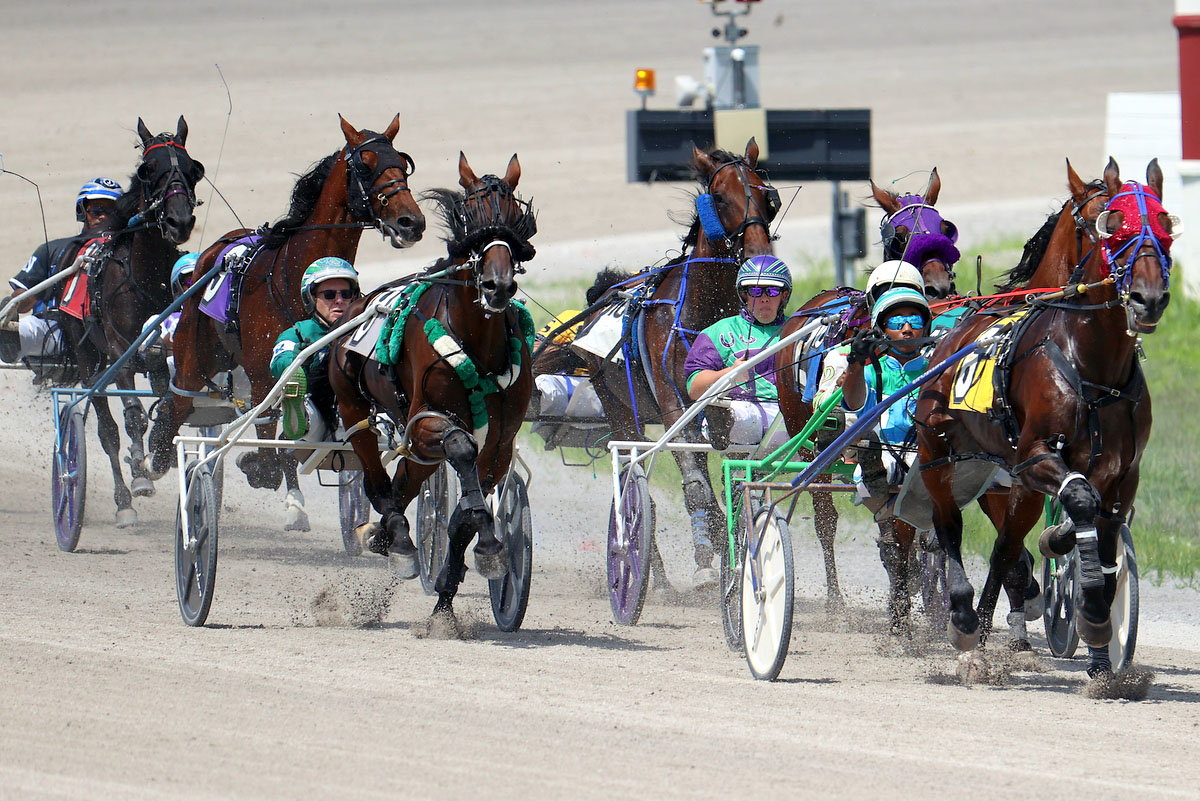 Harness racing action at Oak Grove Racing, Gaming & Hotel. (Mark Haynes, Clarksville Online) Harness racing action at Oak Grove Racing, Gaming & Hotel. (Mark Haynes, Clarksville Online)