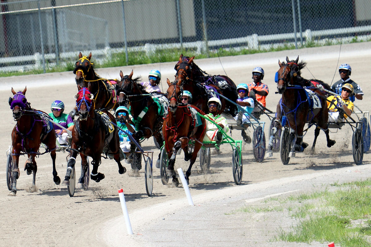 Harness racing action at Oak Grove Racing, Gaming & Hotel. (Mark Haynes, Clarksville Online) Harness racing action at Oak Grove Racing, Gaming & Hotel. (Mark Haynes, Clarksville Online)