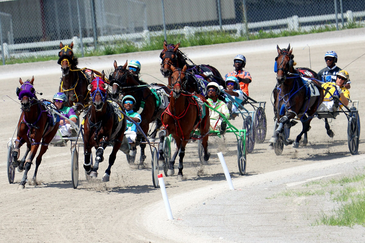 Harness racing action at Oak Grove Racing, Gaming & Hotel. (Mark Haynes, Clarksville Online) Harness racing action at Oak Grove Racing, Gaming & Hotel. (Mark Haynes, Clarksville Online)