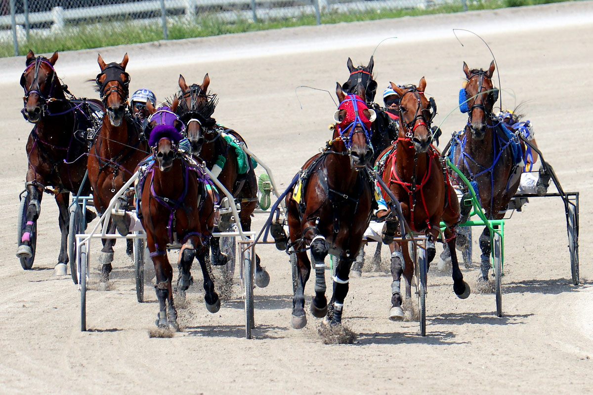 Harness racing action at Oak Grove Racing, Gaming & Hotel. (Mark Haynes, Clarksville Online) Harness racing action at Oak Grove Racing, Gaming & Hotel. (Mark Haynes, Clarksville Online)