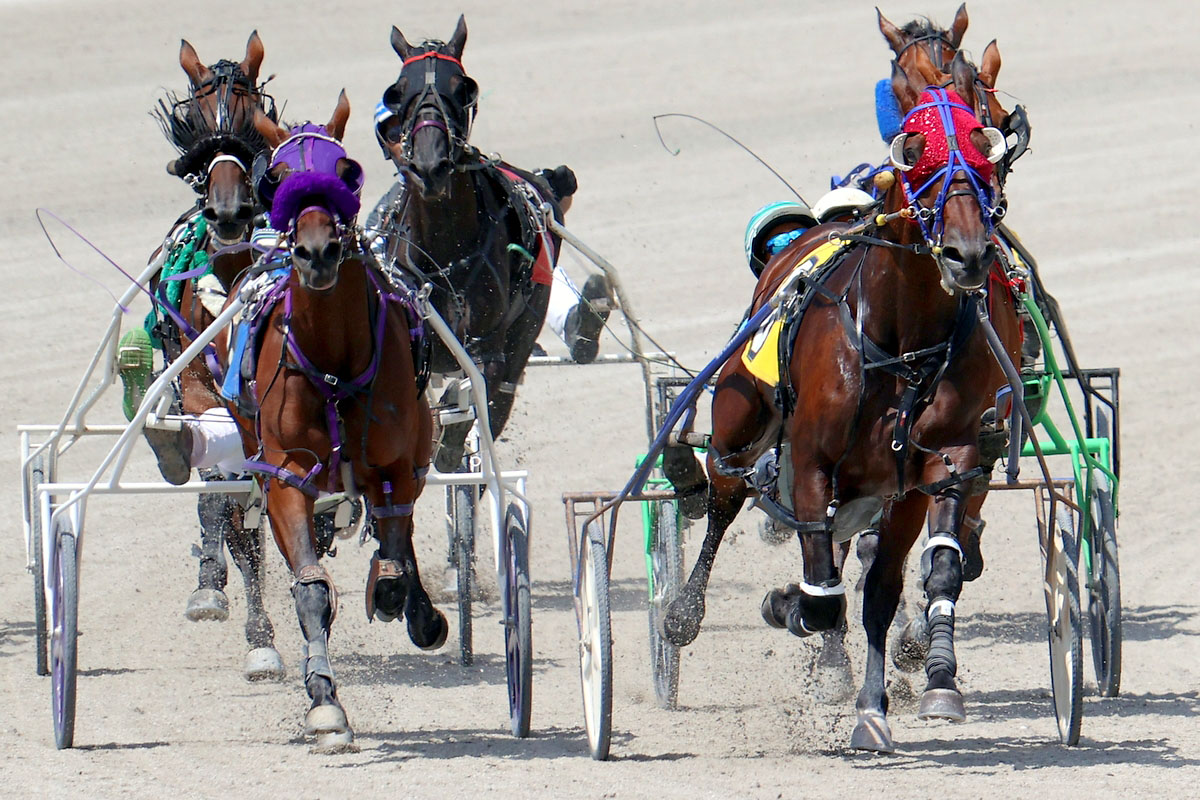 Harness racing action at Oak Grove Racing, Gaming & Hotel. (Mark Haynes, Clarksville Online) Harness racing action at Oak Grove Racing, Gaming & Hotel. (Mark Haynes, Clarksville Online)