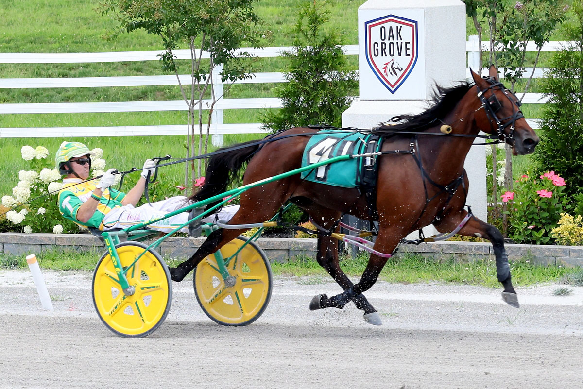 Harness racing action at Oak Grove Racing, Gaming & Hotel. (Mark Haynes, Clarksville Online) Harness racing action at Oak Grove Racing, Gaming & Hotel. (Mark Haynes, Clarksville Online)