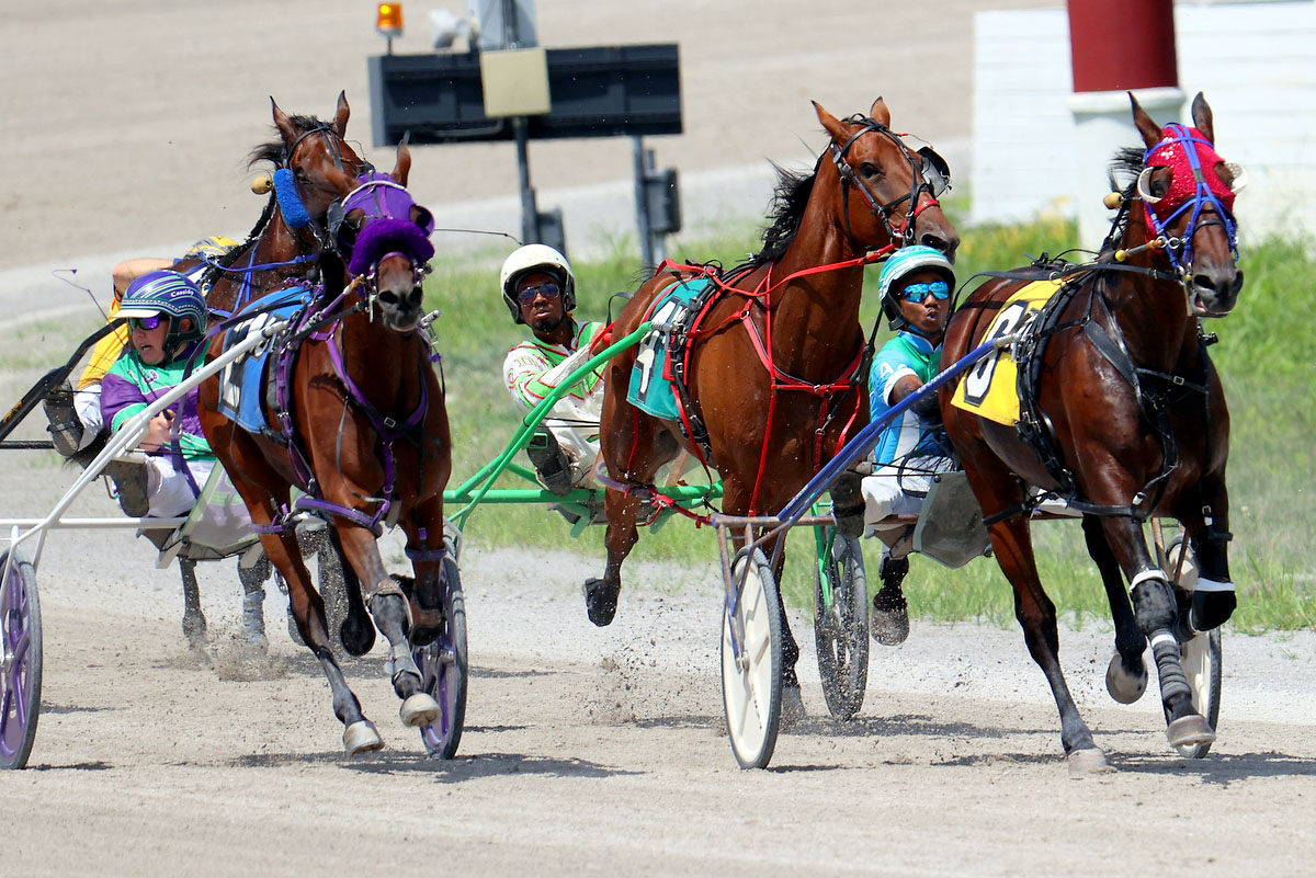 Harness racing action at Oak Grove Racing, Gaming & Hotel. (Mark Haynes, Clarksville Online) Harness racing action at Oak Grove Racing, Gaming & Hotel. (Mark Haynes, Clarksville Online)