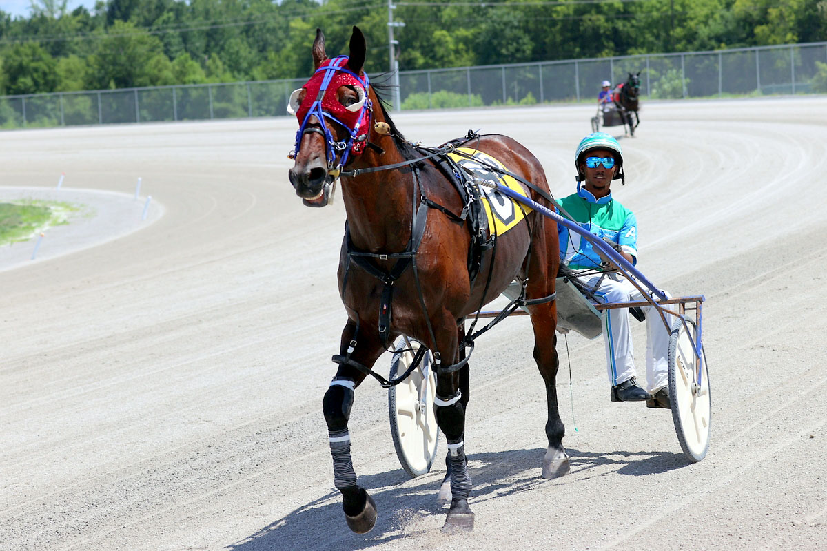 Harness racing action at Oak Grove Racing, Gaming & Hotel. (Mark Haynes, Clarksville Online) Harness racing action at Oak Grove Racing, Gaming & Hotel. (Mark Haynes, Clarksville Online)