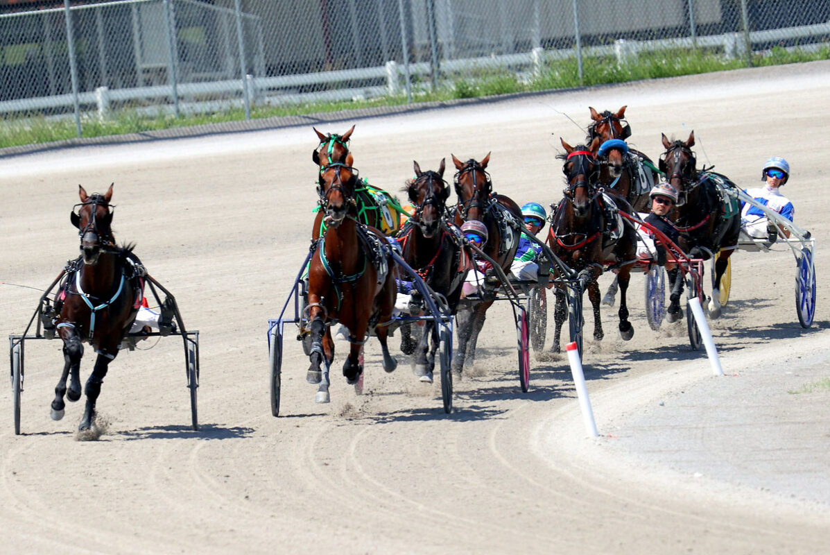 Harness racing action at Oak Grove Racing, Gaming & Hotel. (Mark Haynes, Clarksville Online) Harness racing action at Oak Grove Racing, Gaming & Hotel. (Mark Haynes, Clarksville Online)