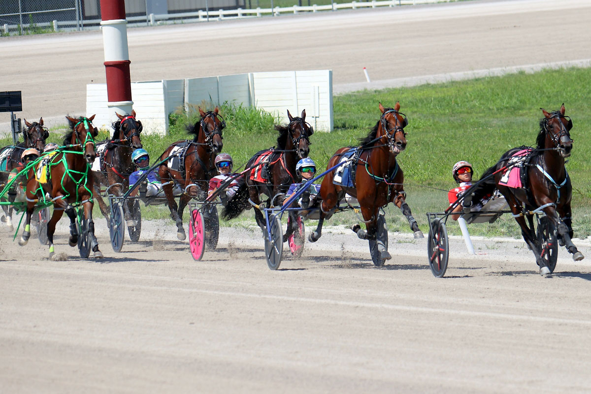 Harness racing action at Oak Grove Racing, Gaming & Hotel. (Mark Haynes, Clarksville Online) Harness racing action at Oak Grove Racing, Gaming & Hotel. (Mark Haynes, Clarksville Online)