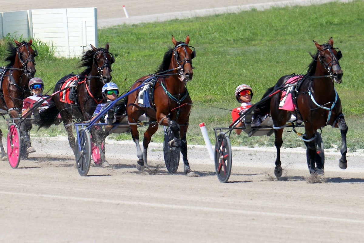 Harness racing action at Oak Grove Racing, Gaming & Hotel. (Mark Haynes, Clarksville Online) Harness racing action at Oak Grove Racing, Gaming & Hotel. (Mark Haynes, Clarksville Online)