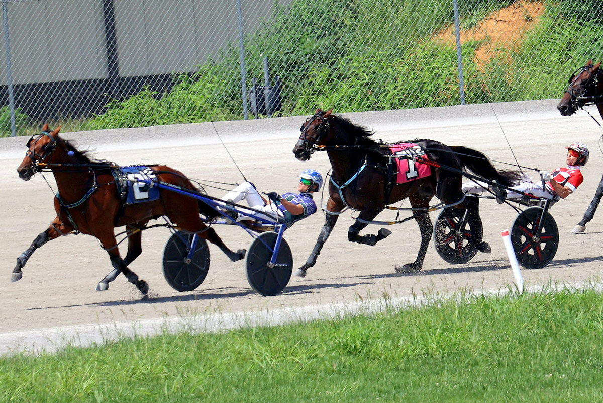 Harness racing action at Oak Grove Racing, Gaming & Hotel. (Mark Haynes, Clarksville Online) Harness racing action at Oak Grove Racing, Gaming & Hotel. (Mark Haynes, Clarksville Online)