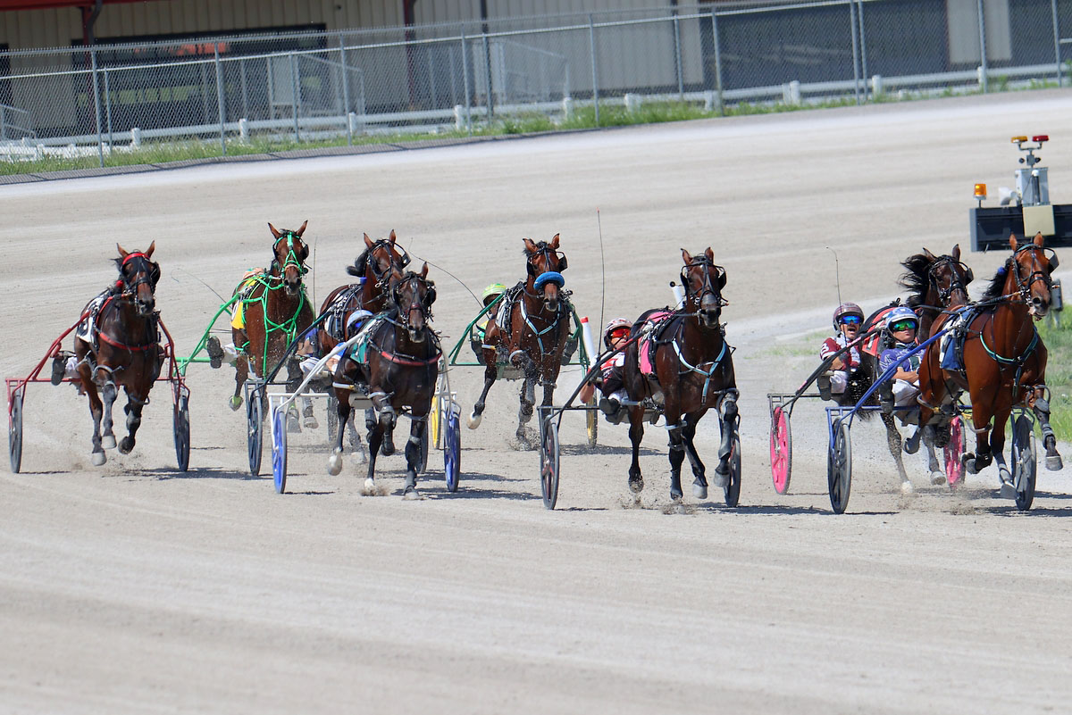 Harness racing action at Oak Grove Racing, Gaming & Hotel. (Mark Haynes, Clarksville Online) Harness racing action at Oak Grove Racing, Gaming & Hotel. (Mark Haynes, Clarksville Online)