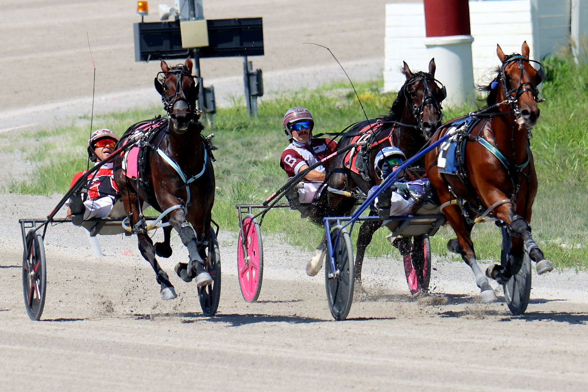 Harness racing action at Oak Grove Racing, Gaming & Hotel. (Mark Haynes, Clarksville Online) Harness racing action at Oak Grove Racing, Gaming & Hotel. (Mark Haynes, Clarksville Online)