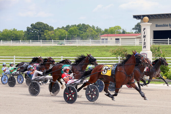 Oak Grove Racing Wraps Up Record-Breaking 2026 Season with Kentucky Sire Stakes Finals
