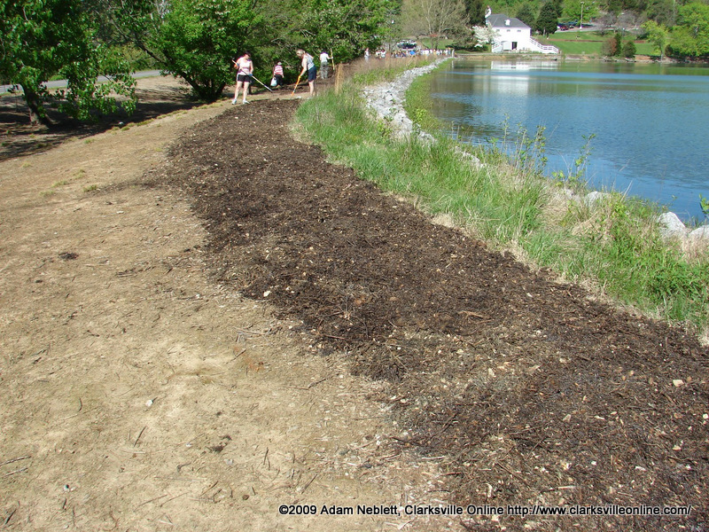 Spreading the mulch Spreading the mulch