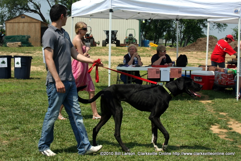img_0317 img_0317