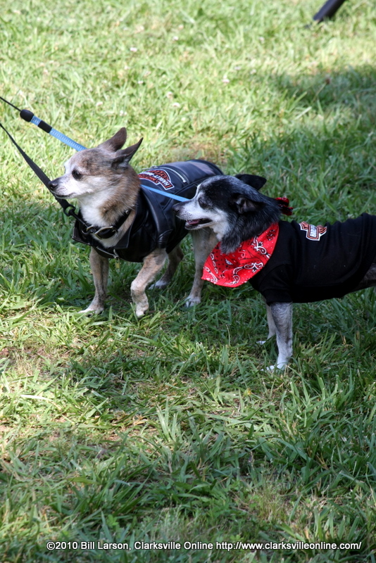 img_0635 img_0635
