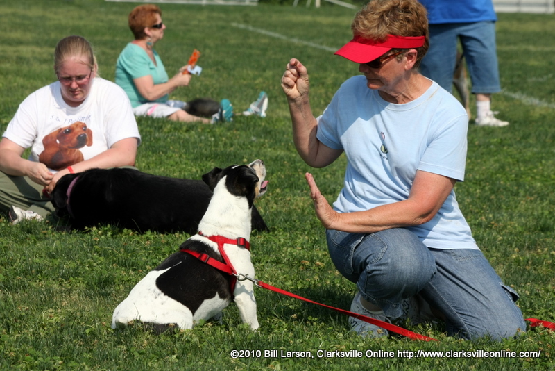 img_0802 img_0802