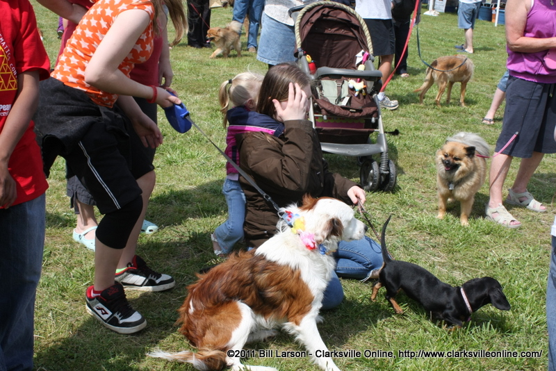 img_7056 img_7056