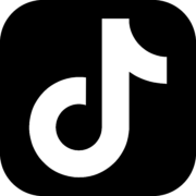 The Tiktok Logo 